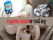ପ୍ରତ୍ୟେକ ଦିନ ଖାଆନ୍ତୁ ଛତୁ,ମିଳିବ ଅନେକ ଫାଇଦା