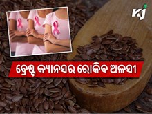 ଜାଣନ୍ତୁ ଅଳସୀର ଫାଇଦା ବିଷୟରେ