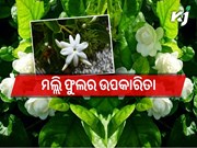 ମୁହଁର ଚମକ ବଢାଏ ମଲ୍ଲୀ ଫୁଲ