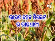 ମିଲେଟରେ ବିଶ୍ୱ ରାଜଧାନୀ ହେବାକୁ ଭାରତ ନିଶ୍ଚିତ ଭାବରେ ପ୍ରୟାସ କରିବ: ଶ୍ରୀ ପୀୟୁଷ ଗୋୟଲ