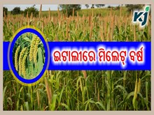 ଇଟାଲୀର ରୋମସ୍ଥିତ ଫାଓ ମୁଖ୍ୟାଳୟ ଠାରେ ଅନ୍ତର୍ଜାତୀୟ ମିଲେଟ୍‌ ବର୍ଷର ଉଦଘାଟନୀ ସମାରୋହ