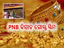 ଏବେ PNB ରେ  ମିଳିବ କିସାନ ଗୋଲ୍ଡ ସ୍କିମ