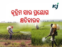 କୃତ୍ରିମ ସାର ମାନବ ଶରୀର ଓ ଭୂତଳ ଜଳ ପାଇଁ କ୍ଷତିକାରକ