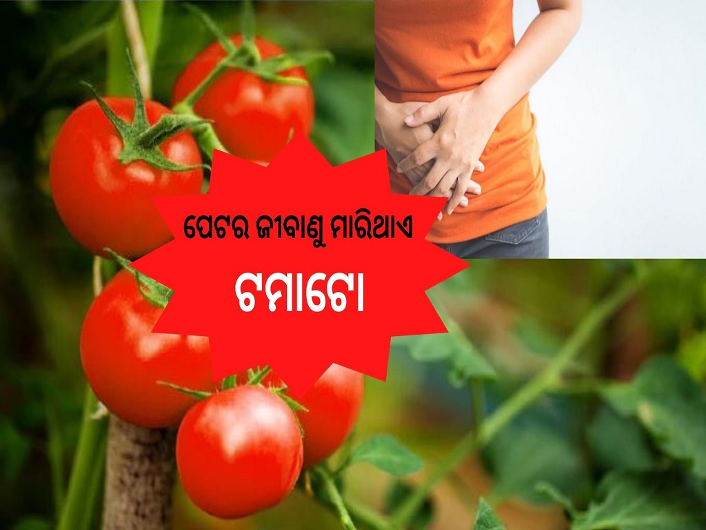 5 Health Benefits of Eating Tomatoes Good Foods to Help Relieve Constipation