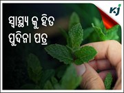 ସ୍ୱାସ୍ଥ୍ୟ ପାଇଁ ଉପକାରୀ ପୁଦିନା ପତ୍ର