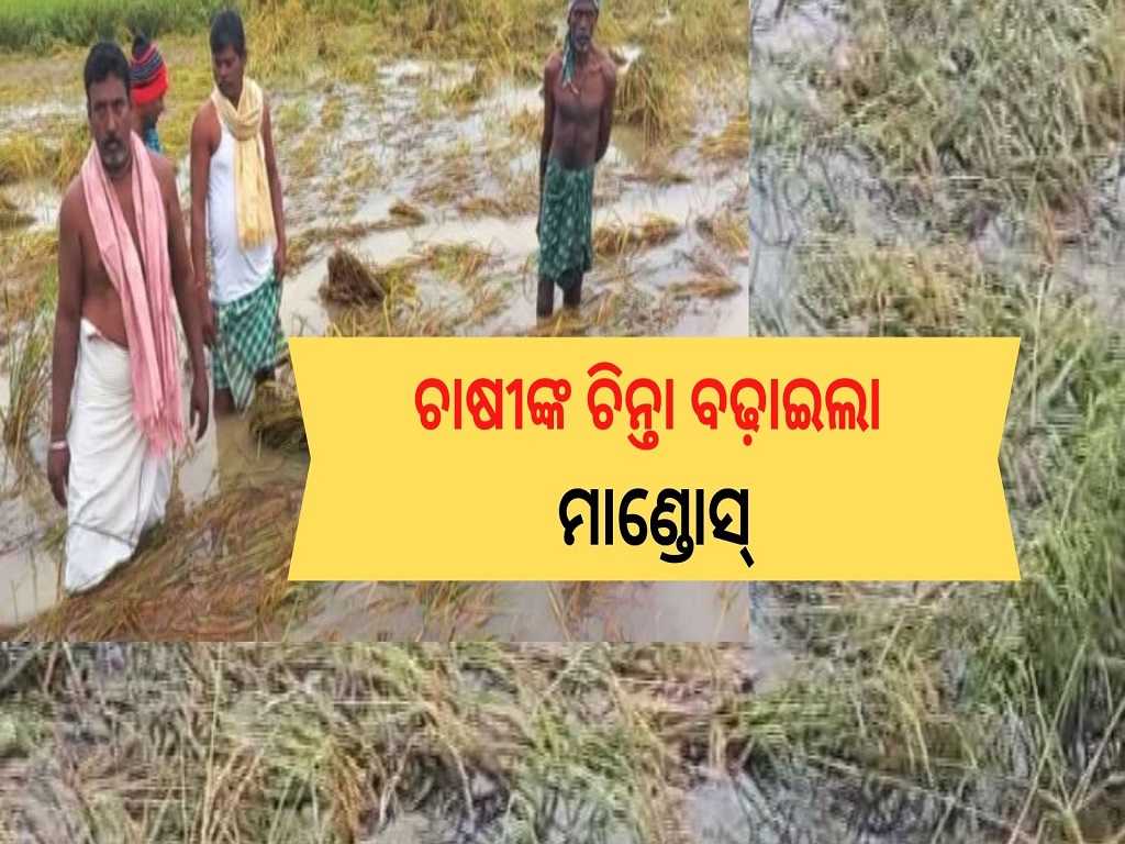 odisha district ganjam farmers are worries of Mandous