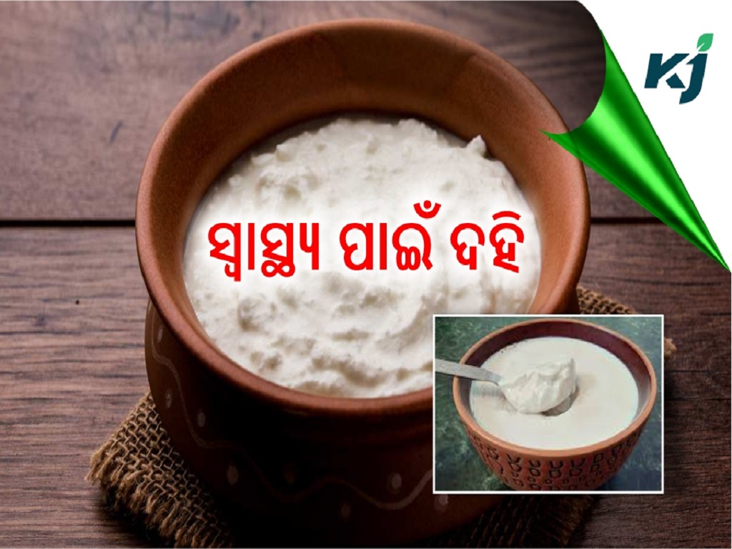 To be know Benefits of curd