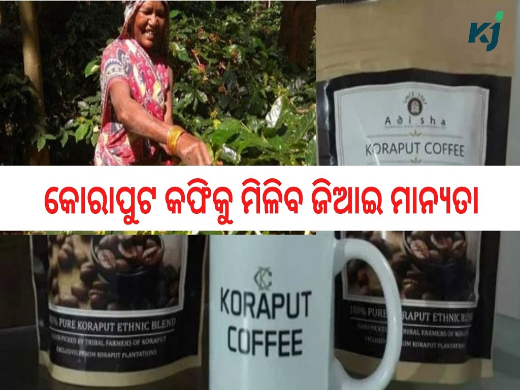 GI Tag For Odisha’s Koraput Coffee!