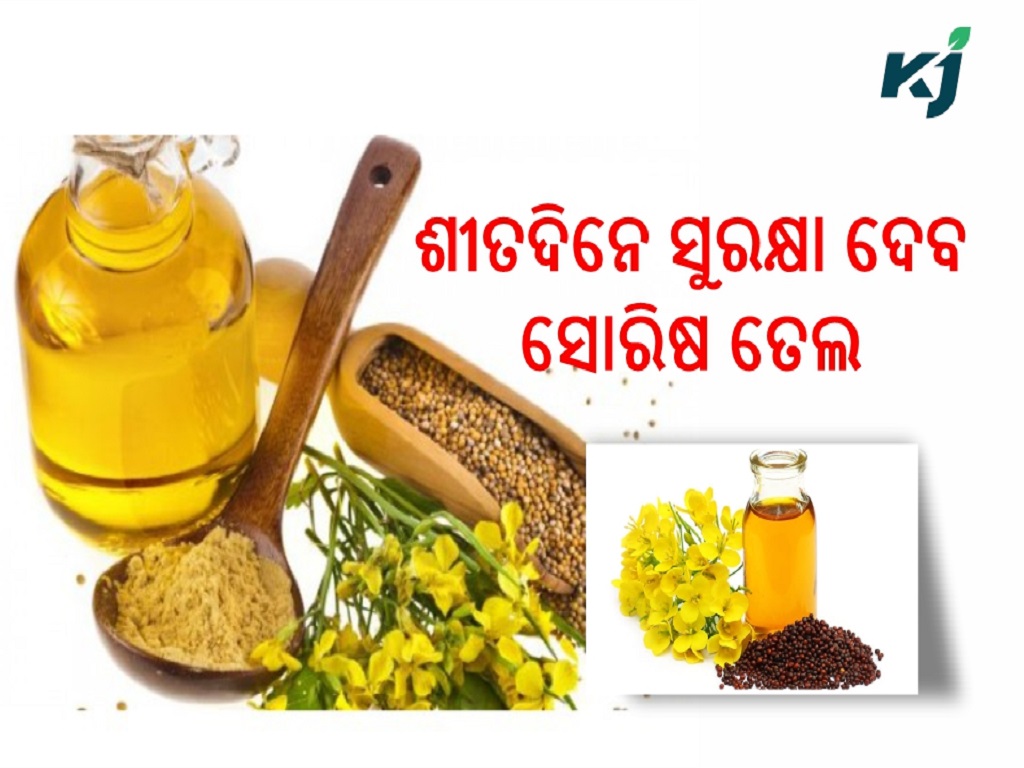 Know the benefits of mustard oil in winter