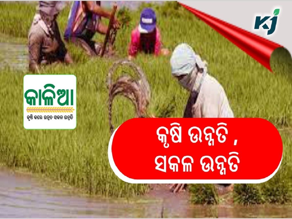 The agriculture of the state is now the model of the country