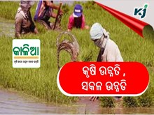 ରାଜ୍ୟ ର କୃଷି ଏବେ ଦେଶର ଆଦର୍ଶ