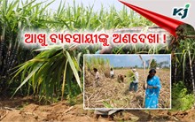 ଚାଷୀଙ୍କ ଗୁହାରୀକୁ ଅଣଦେଖା କରୁଛନ୍ତି ସରକାର !