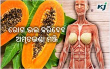 ଜାଣନ୍ତୁ କେଉଁ କେଉଁ ରୋଗ ଭଲ କରିଥାଏ ଅମୃତଭଣ୍ଡା ମଞ୍ଜି