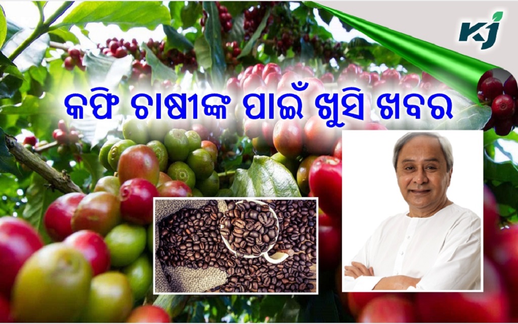 Coffee Mission to starts soon in Odisha