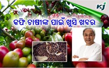 ଖୁସି ଖବର ! କଫି ଚାଷୀଙ୍କ ପାଇଁ ସରକାର ଆଣିଲେ ବଡ଼ ଯୋଜନା 