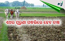 କେତେ ସଫଳ ପାରମ୍ପାରିକ କୃଷି ପଦ୍ଧତ୍ତି ?