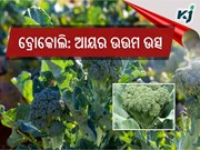 କରନ୍ତୁ ଲାଭଦାୟକ ବ୍ରୋକୋଲି ଚାଷ .......