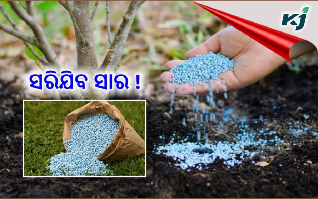 Gujarat govt asks farmers ‘not to hoard fertilizers’