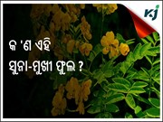 ସୁନାମୁଖୀ ଏକ ମହତ୍ଵପୂର୍ଣ୍ଣ ଔଷଧୀୟ ଉଦ୍ଭିଦ