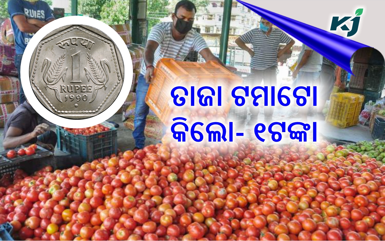 Tomatoes at 1 Rupee per kg