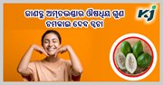 ଜାଣନ୍ତୁ ଅମୃତଭଣ୍ଡାର ଔଷଧିୟ ଗୁଣ..ଚମକାଇ ଦେବ ତ୍ୱଚା...