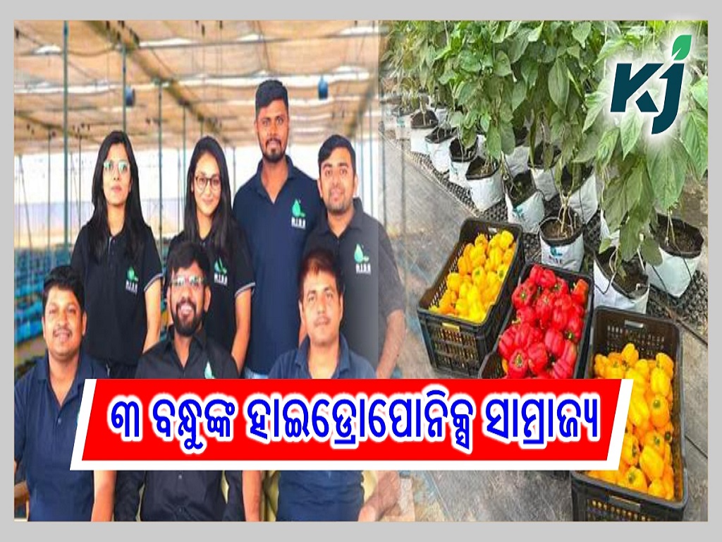 Three Friends Earn Crores With Hydroponics Empire