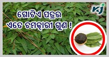 ଥଣ୍ଡାଠୁ ଆରମ୍ଭ କରି ଅଣ୍ଟା ବିନ୍ଧା ପର୍ଯ୍ୟନ୍ତ ସବୁ ସମସ୍ୟା ଦୂର କରିଦେବ ପସାରୁଣୀ ପତ୍ର....