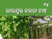 କରନ୍ତୁ ଏହି ପରିବା ଚାଷ,ସ୍ୱଳ୍ପ ମୂଲ୍ୟରେ ଭଲ ଲାଭ ପାଇବେ...... କରନ୍ତୁ ଏହି ପରିବା ଚାଷ,ସ୍ୱଳ୍ପ ମୂଲ୍ୟରେ ଭଲ ଲାଭ ପାଇବେ......