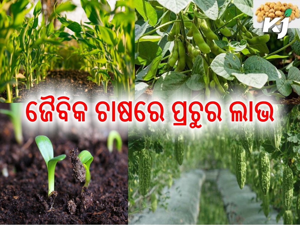 know about the benefits of organic farming