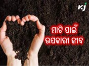 ଜାଣନ୍ତୁ, କେଉଁ ଜୀବ ମାଟି ପାଇଁ ଉପକାରୀ ……?