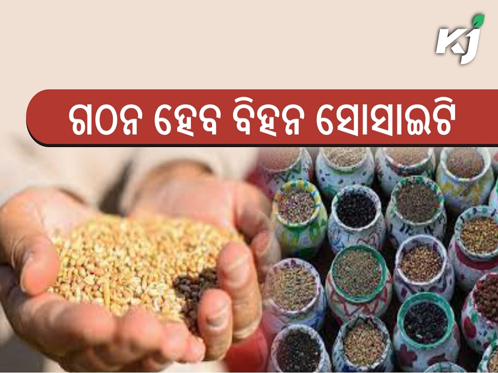 Cabinet approves multi-state cooperative seed society