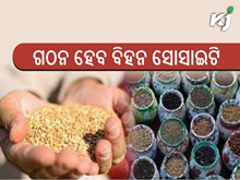 ବହୁ-ରାଜ୍ୟ ବିହନ ସୋସାଇଟି ଗଠନ ପ୍ରସ୍ତାବକୁ କ୍ୟାବିନେଟ ମଞ୍ଜୁରୀ