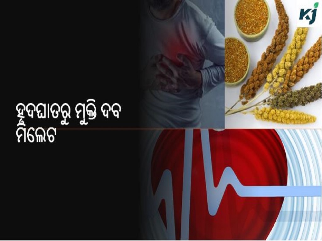 Millets MANDIA can reduce risk of developing cardiovascular HEART disease
