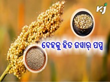 ଡାଇବେଟିସ ରୋଗୀଙ୍କ ପାଇଁ ଲାଭଦାୟକ ଜୱାର୍ ପପ୍ସ
