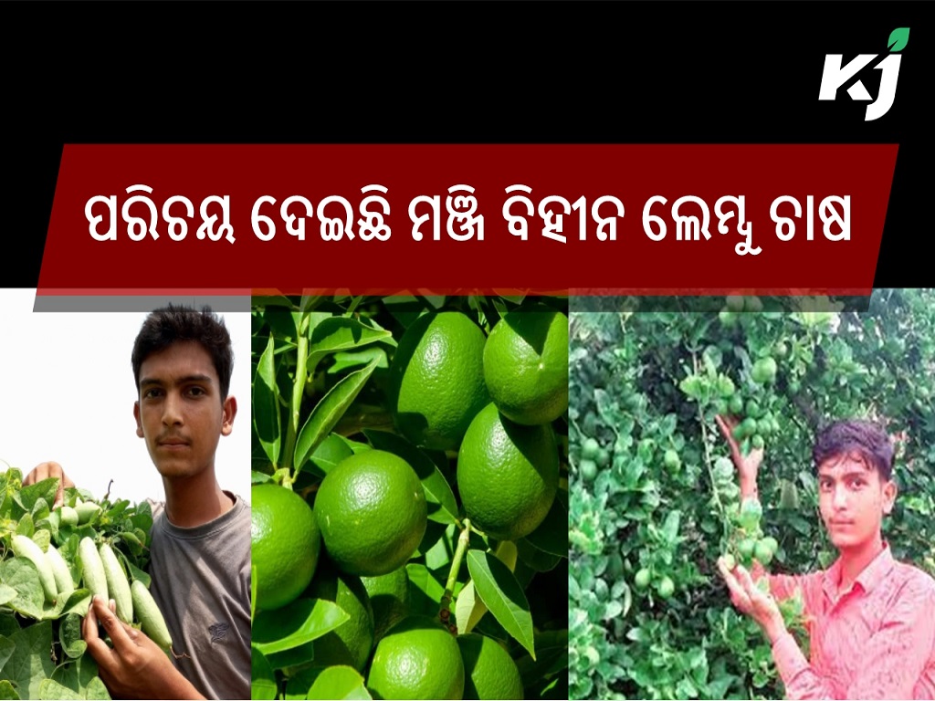 Seedless lemons did it: 21 year old from Muzaffarpur gets Rashtriya Udyan Ratna