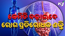 ଏପରି କରିବା ଦ୍ୱାରା ବଢ଼ିବ ଶରୀରର ରୋଗ ପ୍ରତିରୋଧକ ଶକ୍ତି......