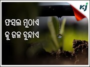 ଅଳ୍ପ ଜଳରେ କିପରି କରିବେ ଅଧିକ ଅମଳ  ? ଆସନ୍ତୁ ଜାଣିବା.....