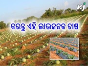 କମ ସମୟ, କମ ଖର୍ଚ୍ଚରେ କରନ୍ତୁ ଅଧିକ ଆୟ