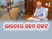 ଭାରତକୁ ଗହମ ସଙ୍କଟରୁ ଉଦ୍ଧାର କରିବ କେନ୍ଦ୍ର