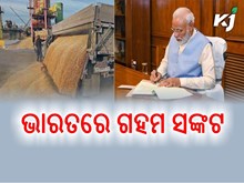 ଭାରତକୁ ଗହମ ସଙ୍କଟରୁ ଉଦ୍ଧାର କରିବ କେନ୍ଦ୍ର ଭାରତକୁ ଗହମ ସଙ୍କଟରୁ ଉଦ୍ଧାର କରିବ କେନ୍ଦ୍ର