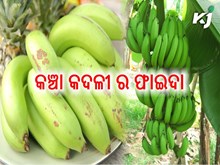 ଜାଣନ୍ତୁ ନିୟମିତ କଞ୍ଚା କଦଳୀ ଖାଇଲେ କ'ଣ ରହିଛି ଫାଇଦା.....