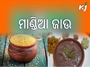 ଖାଇଛନ୍ତି କି କେବେ ମାଣ୍ଡିଆ ଜାଉ ?