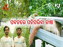 ପବନରେ ପନିପରିବା ଚାଷ, ଖର୍ଚ୍ଚ କମ୍ ପ୍ରଚୁର ଲାଭ ପବନରେ ପନିପରିବା ଚାଷ, ଖର୍ଚ୍ଚ କମ୍ ପ୍ରଚୁର ଲାଭ