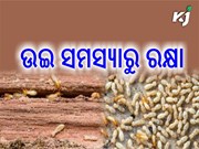 ଫସଲରେ ଲାଗୁଛନ୍ତି କି ଉଇ ?  ଆପଣାନ୍ତୁ ଏହି ପ୍ରତିକାର…..