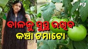 ଲମ୍ବା ବାଳ ଚାହୁଁଛନ୍ତି କି ? ଆପଣାନ୍ତୁ ଟମାଟୋ ଥେରାପି....