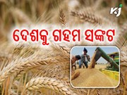 ଦେଶରେ ଏବେ ଗହମ ଅଭାବ ଚିନ୍ତା, ଖୋଲା ବଜାରରେ ଅଟା ଦର କମ