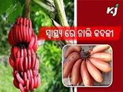 ଲାଲ କଦଳୀ ର ଫାଇଦା ବିଷୟରେ ଜାଣିଛନ୍ତି କି ?