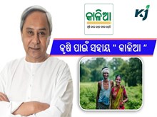 କୃଷକଙ୍କ ଜୀବିକା ଏବଂ ଆୟ ବୃଦ୍ଧି ପାଇଁ ସହାୟ " କାଳିଆ " ଯୋଜନା କୃଷକଙ୍କ ଜୀବିକା ଏବଂ ଆୟ ବୃଦ୍ଧି ପାଇଁ ସହାୟ " କାଳିଆ " ଯୋଜନା