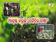 ଜୈବିକ ଚାଷ ପ୍ରତି ବଢୁଛି ଲୋକଙ୍କ ଆଗ୍ରହ,କମାଉଛନ୍ତି ଲକ୍ଷ ଲକ୍ଷ ଟଙ୍କା ଜୈବିକ ଚାଷ ପ୍ରତି ବଢୁଛି ଲୋକଙ୍କ ଆଗ୍ରହ,କମାଉଛନ୍ତି ଲକ୍ଷ ଲକ୍ଷ ଟଙ୍କା