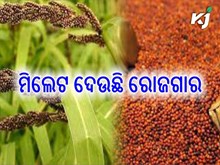 ମହିଳାଙ୍କୁ ରୋଜଗାର ଦେଉଛି ମିଲେଟ ଚାଷ ମହିଳାଙ୍କୁ ରୋଜଗାର ଦେଉଛି ମିଲେଟ ଚାଷ